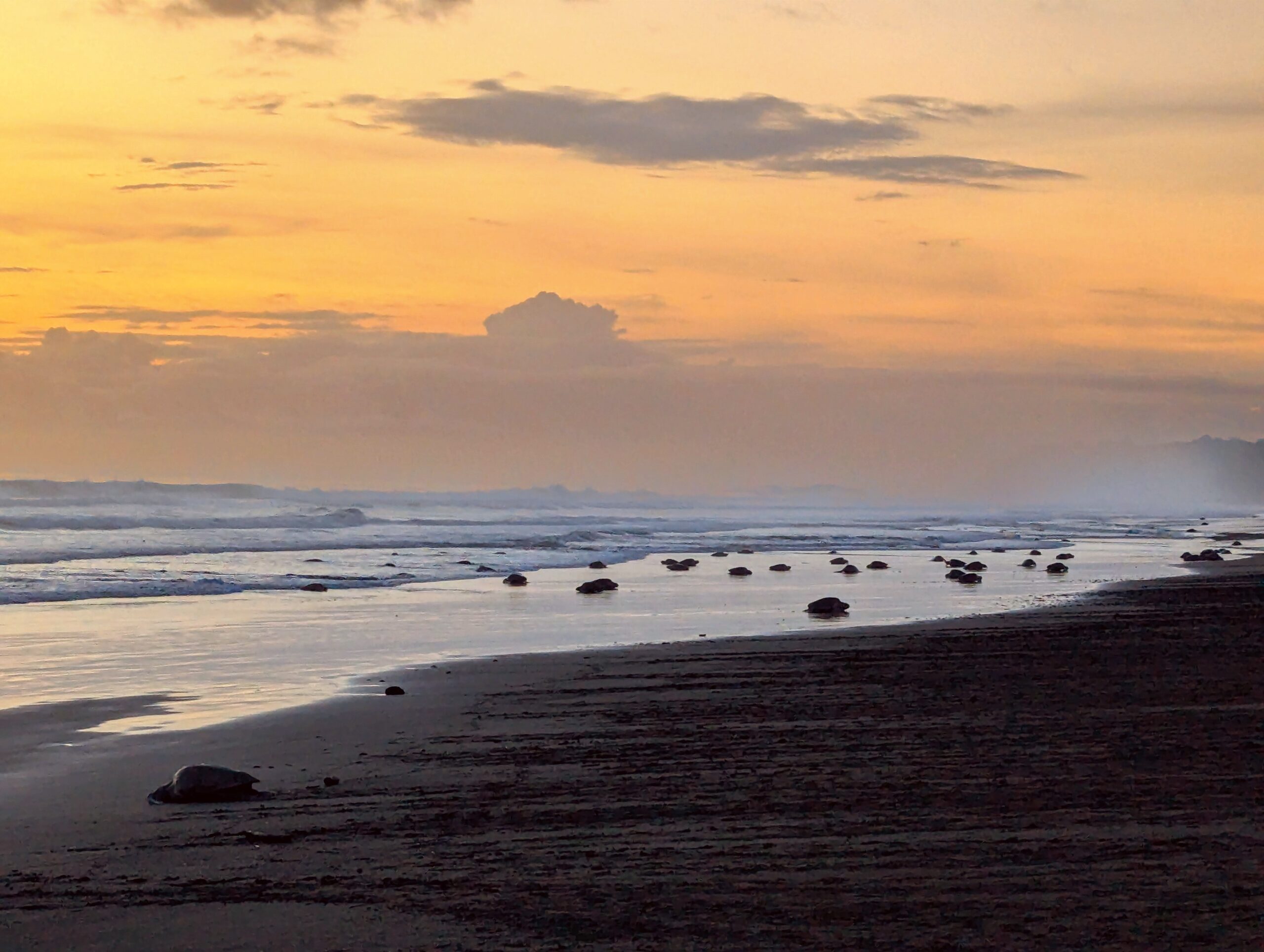 Epic ATV adventure on the beach in Guanacaste